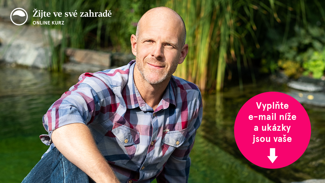 mameukazku uvodnifotka 1