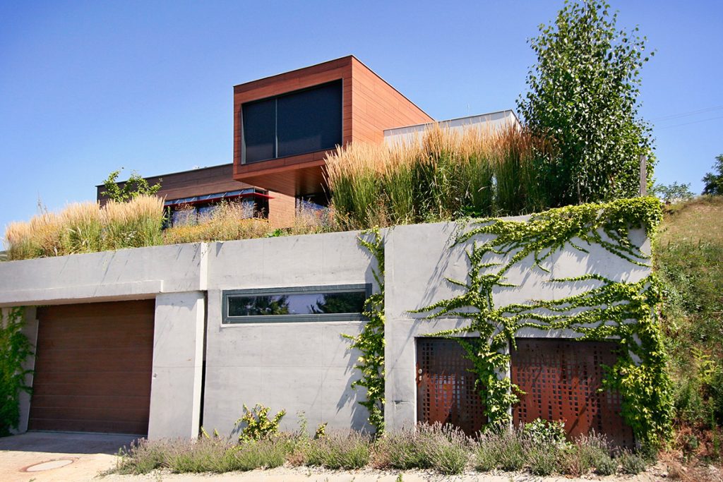 bratislava 01 1024x683 1