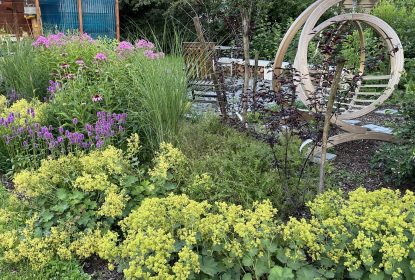 michaela feedback 144