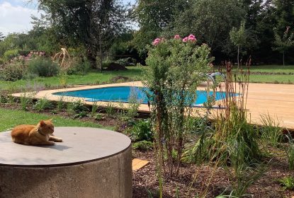 michaela feedback 92