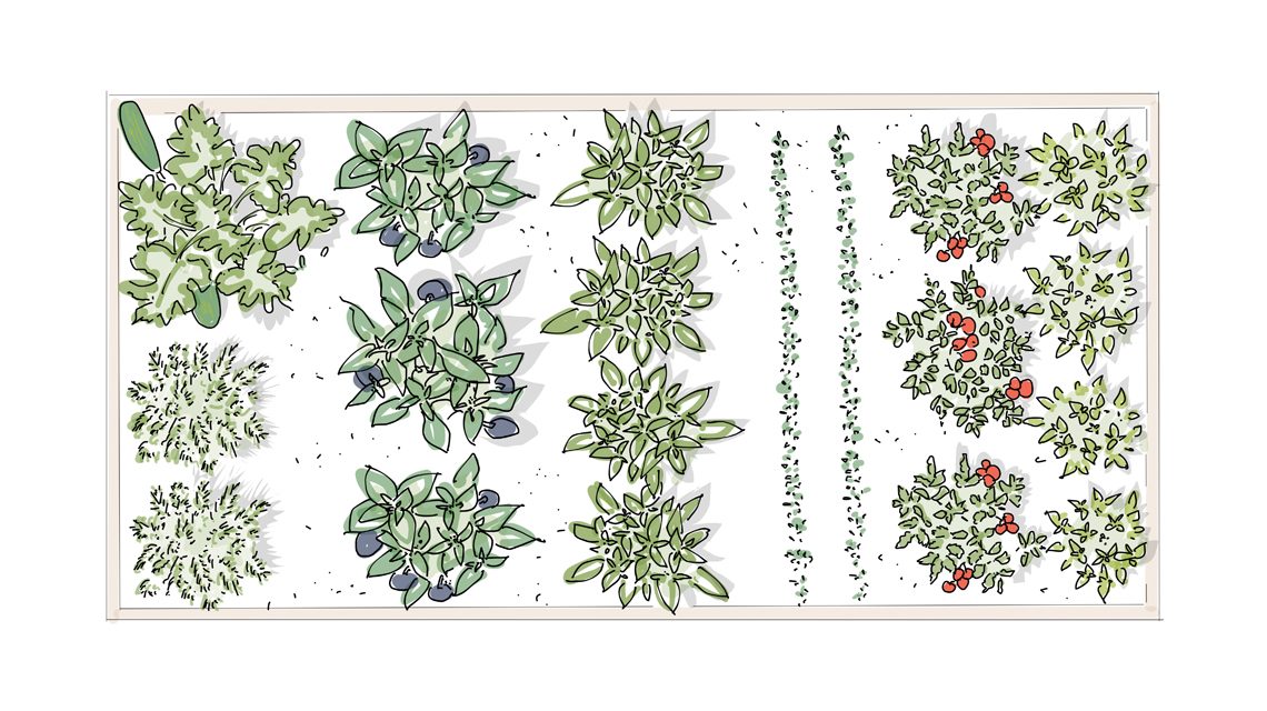 Zahon stredomorske chuti 01