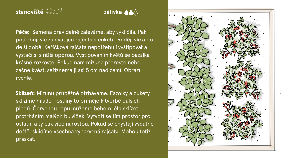 Liny zahradnik 9