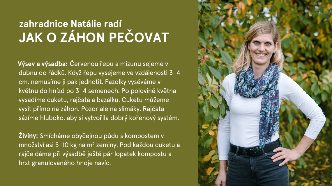 Liny zahradnik 11