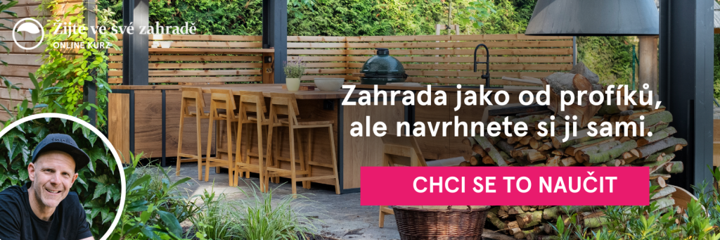 blog banner zijte