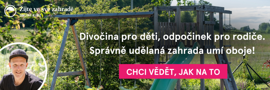 blog banner zijte 2
