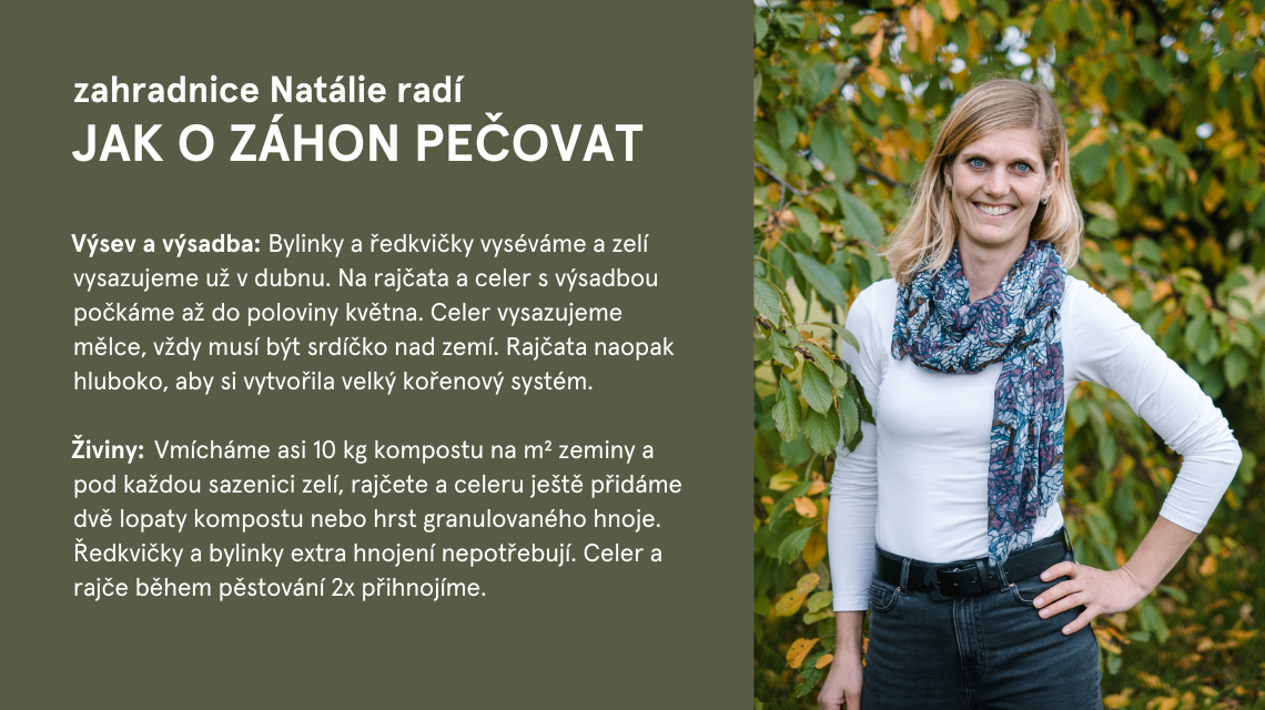 Pestry zahon 11
