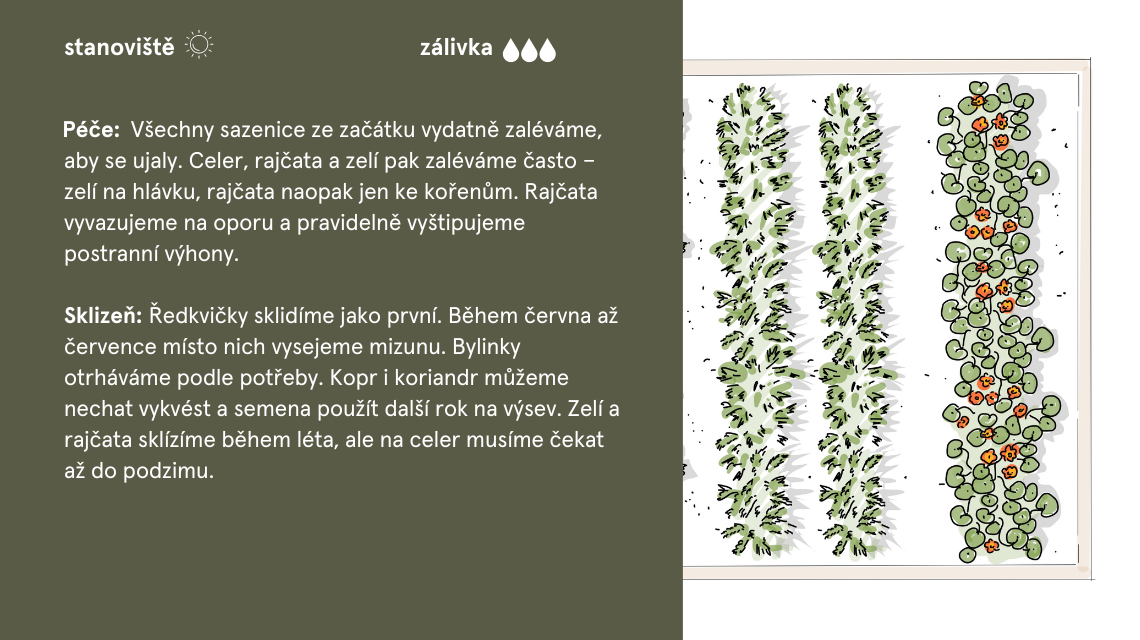 Pestry zahon 12