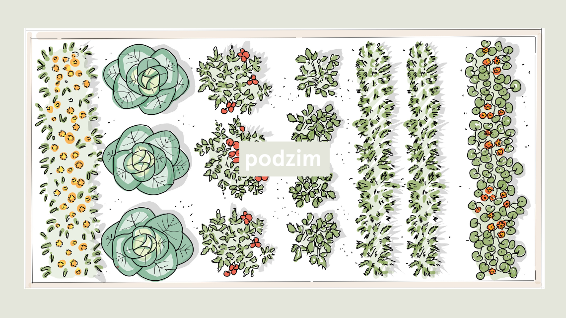 Pestry zahon 14