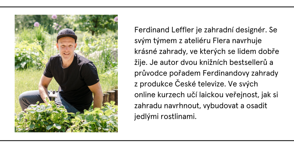 Zijte blogovy banner 3