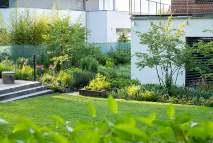 trávník v zahradě, Ferdinand Leffler, Flera, vícekmen, schody v zahradě