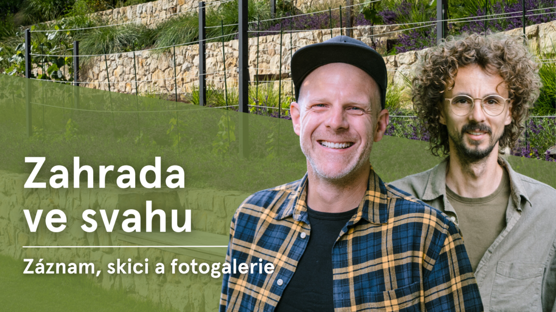 Webinar svah