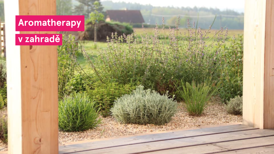 Aromatherapy zahrada