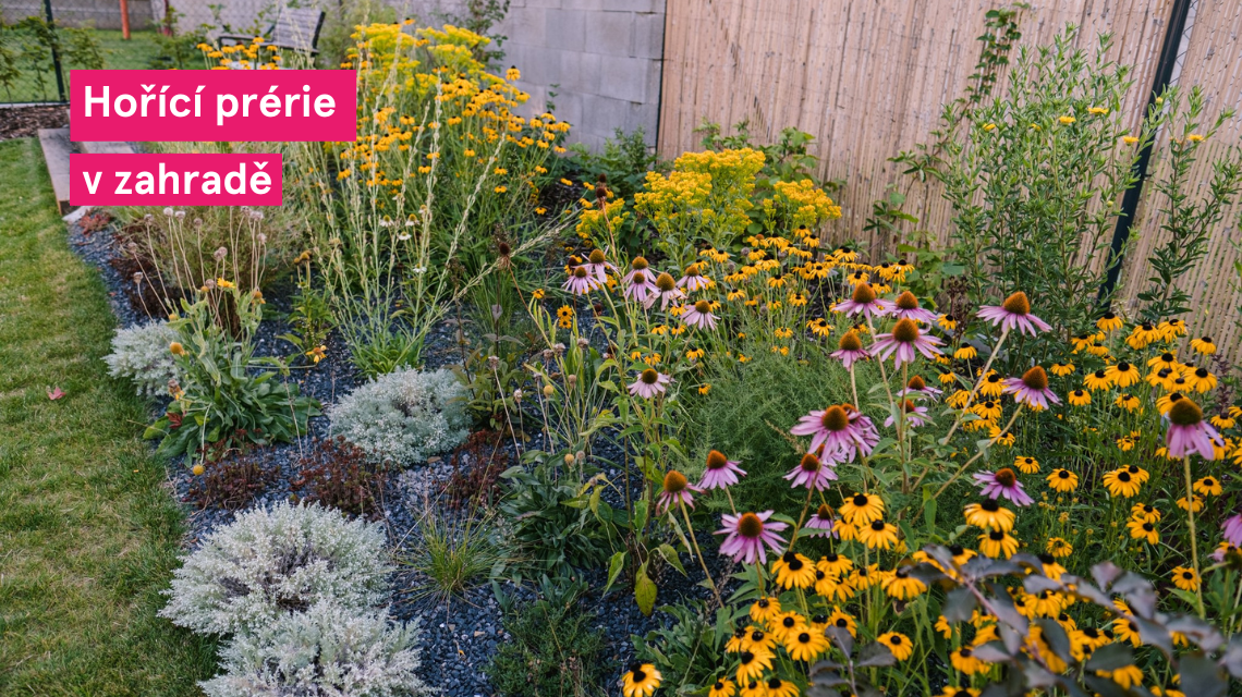 Horici prerie zahrada