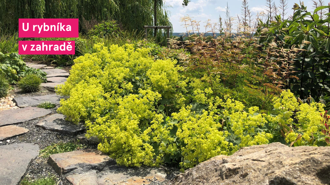 U rybnika zahrada