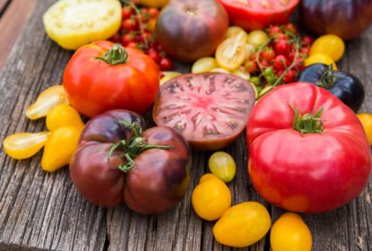 Jedlá zahrada, Žijte ve své zahradě