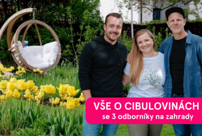 Workshop cibuloviny uvodni 5