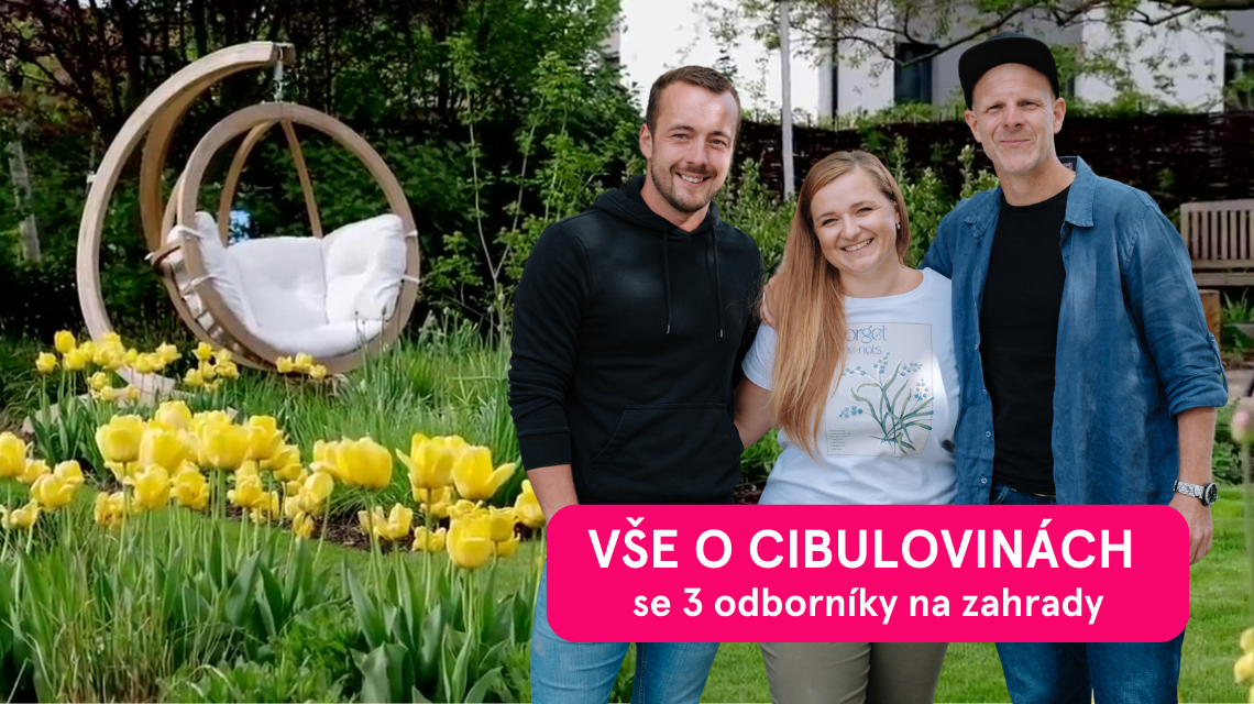 Workshop cibuloviny uvodni 5