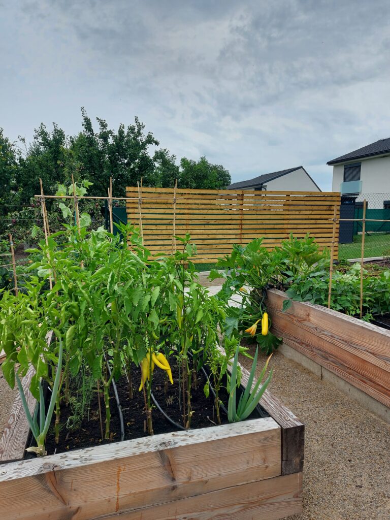 kurzisti tatiana po 46