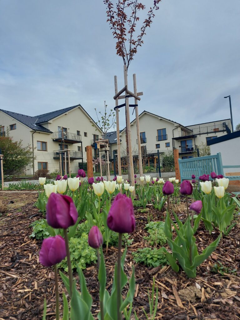 kurzisti tatiana po 5