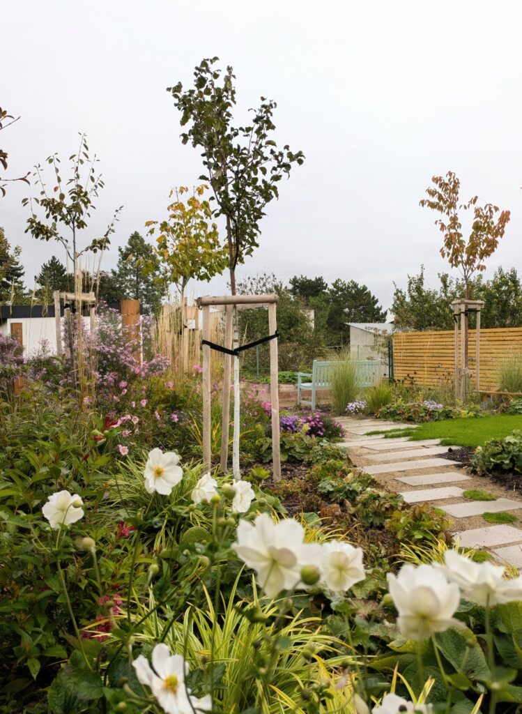 kurzisti tatiana po 58