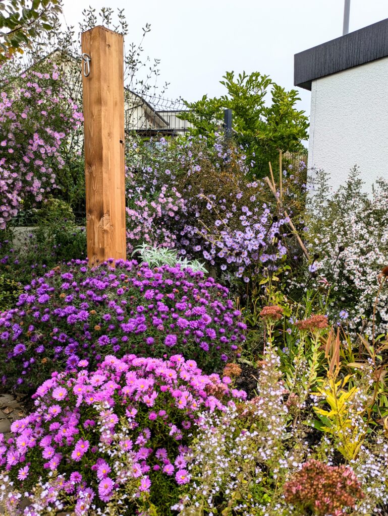 kurzisti tatiana po 62