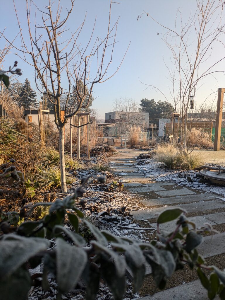 kurzisti tatiana po 79