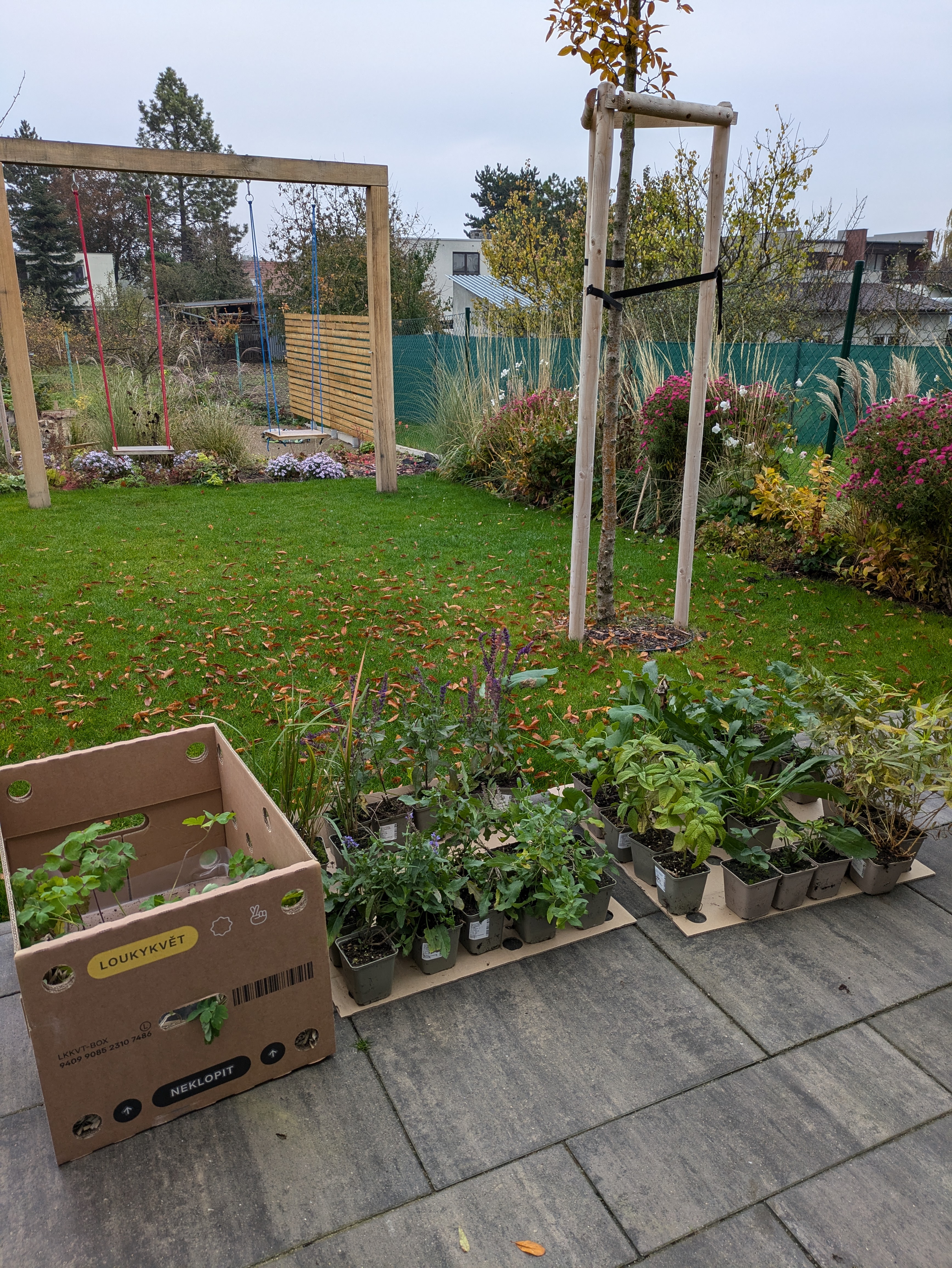 kurzisti tatiana prubeh 27