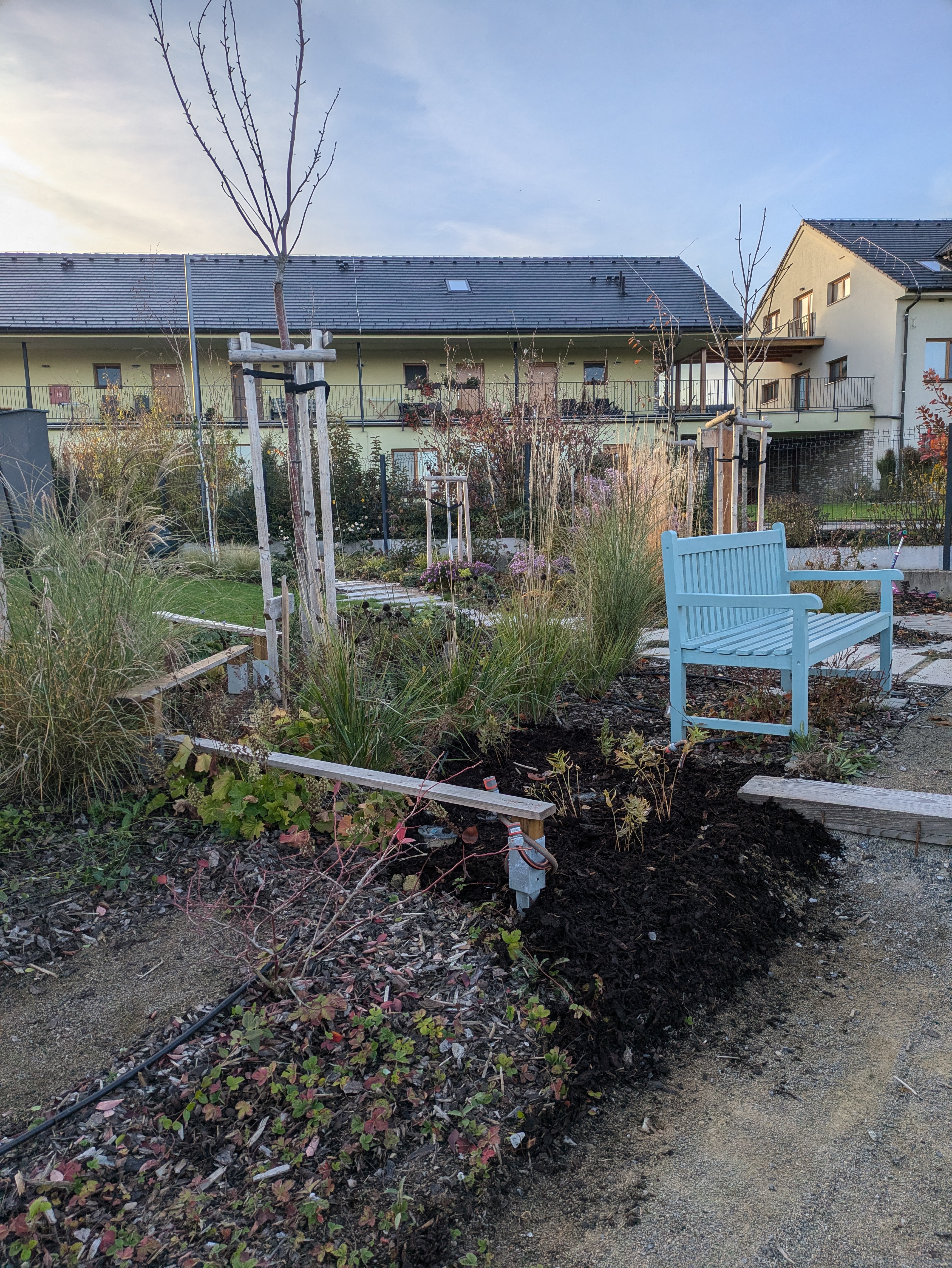 kurzisti tatiana prubeh 29