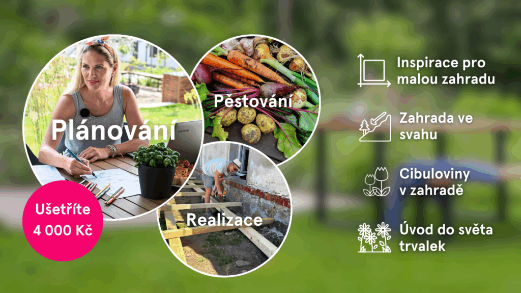 Kompletni balicek kurzu a webinaru