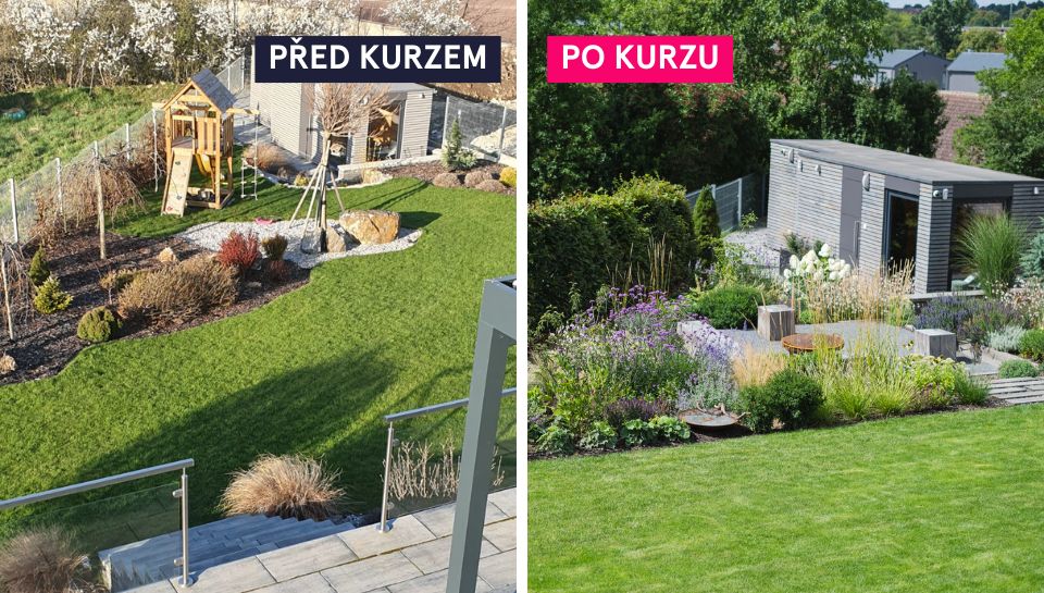 predapo kurzisti 36
