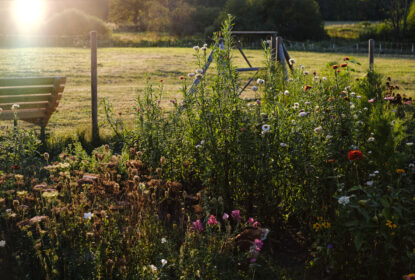 baldynka workshop web 121