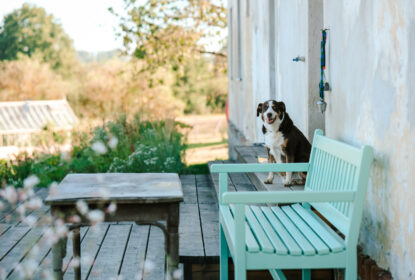 baldynka workshop web 4