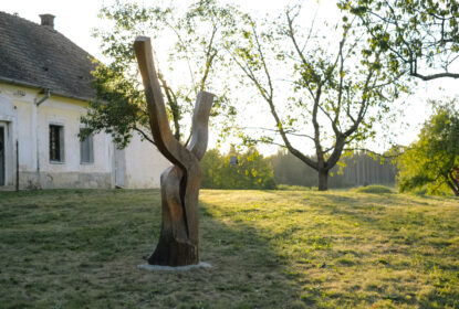 baldynka workshop web 87