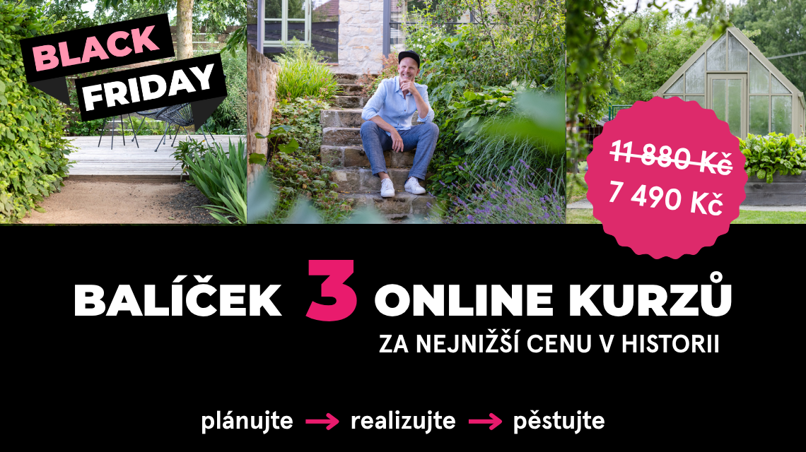 Black Friday Balicek uvodni 2