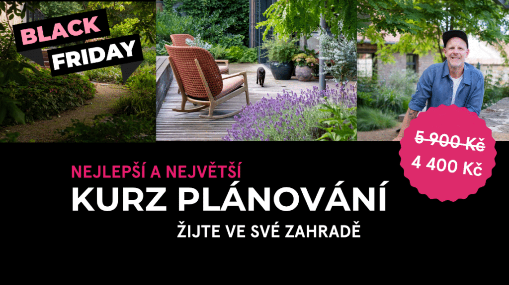 Black Friday Zijte uvodni