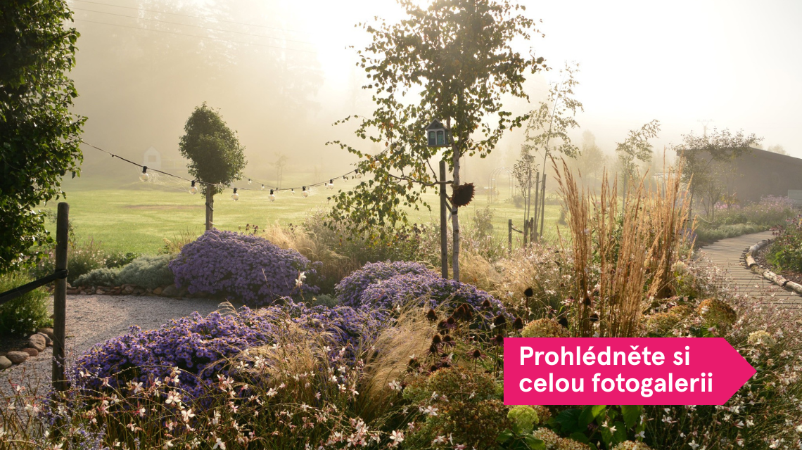 zahrada studentky Zuzany