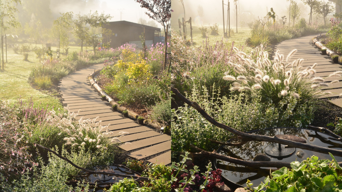 zahrada studentky Zuzany