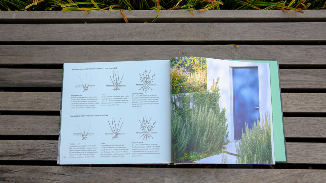 kniha procmilujemezahrada websize 8