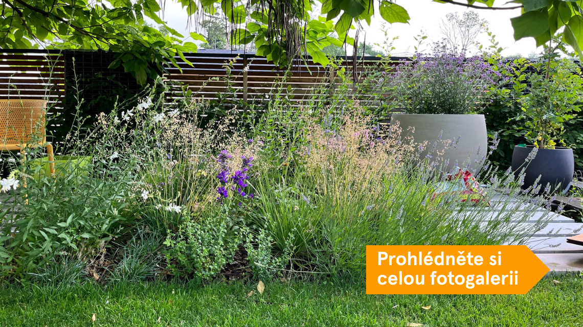 Zahrada studenta Pavola 1