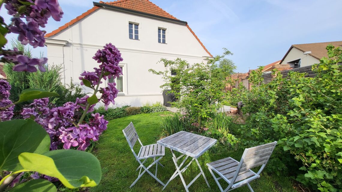 440932985 8247866668561516 8869559656596532008 n