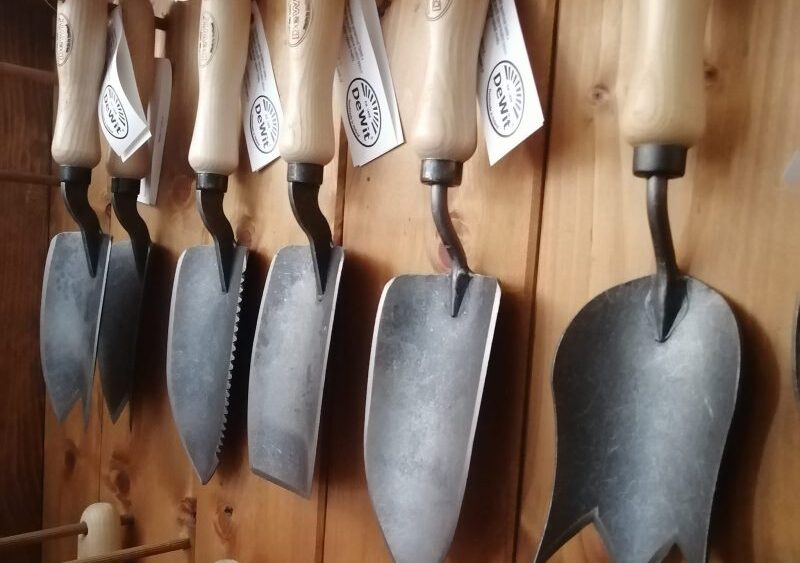 DeWit 01 e1770644936213