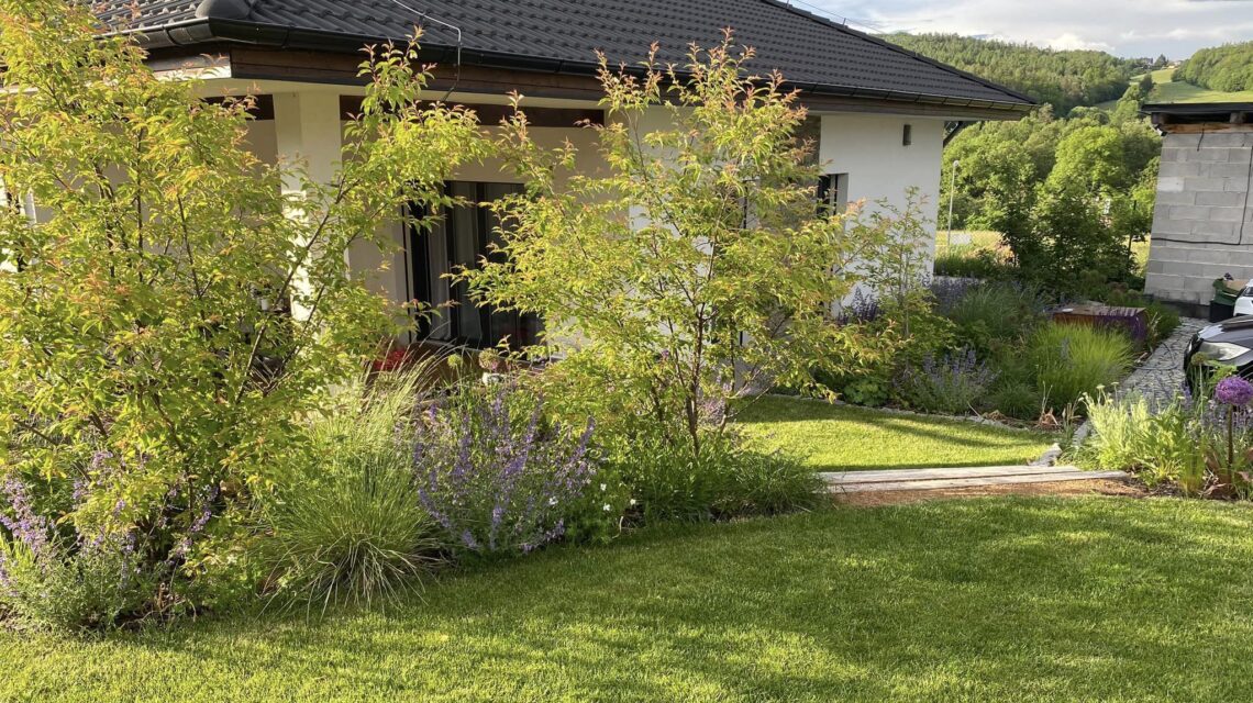 Kurzistka lucie vicekmeny