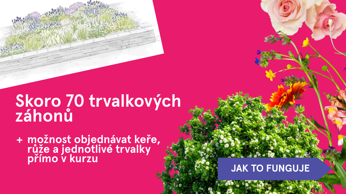 eshop trvalky 1
