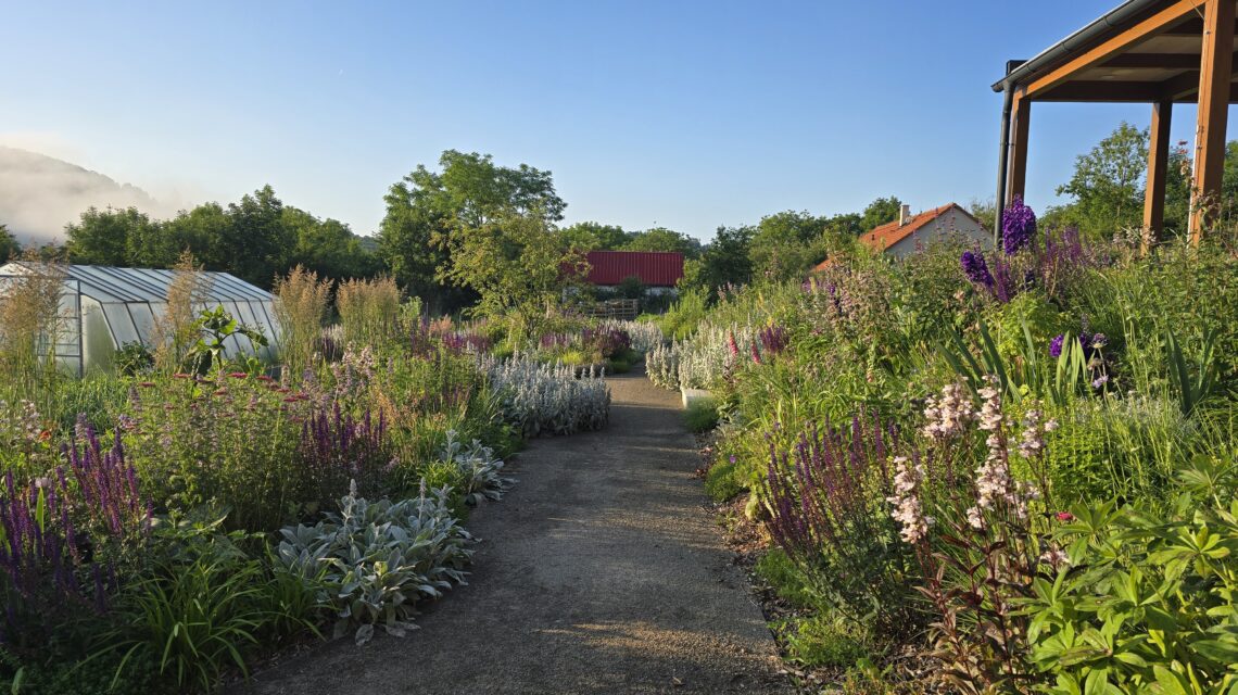 kurzistka petra 2 26