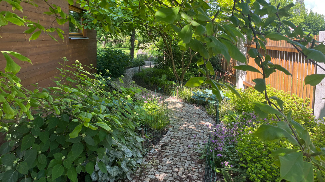 Kurzisti Michaela cesta