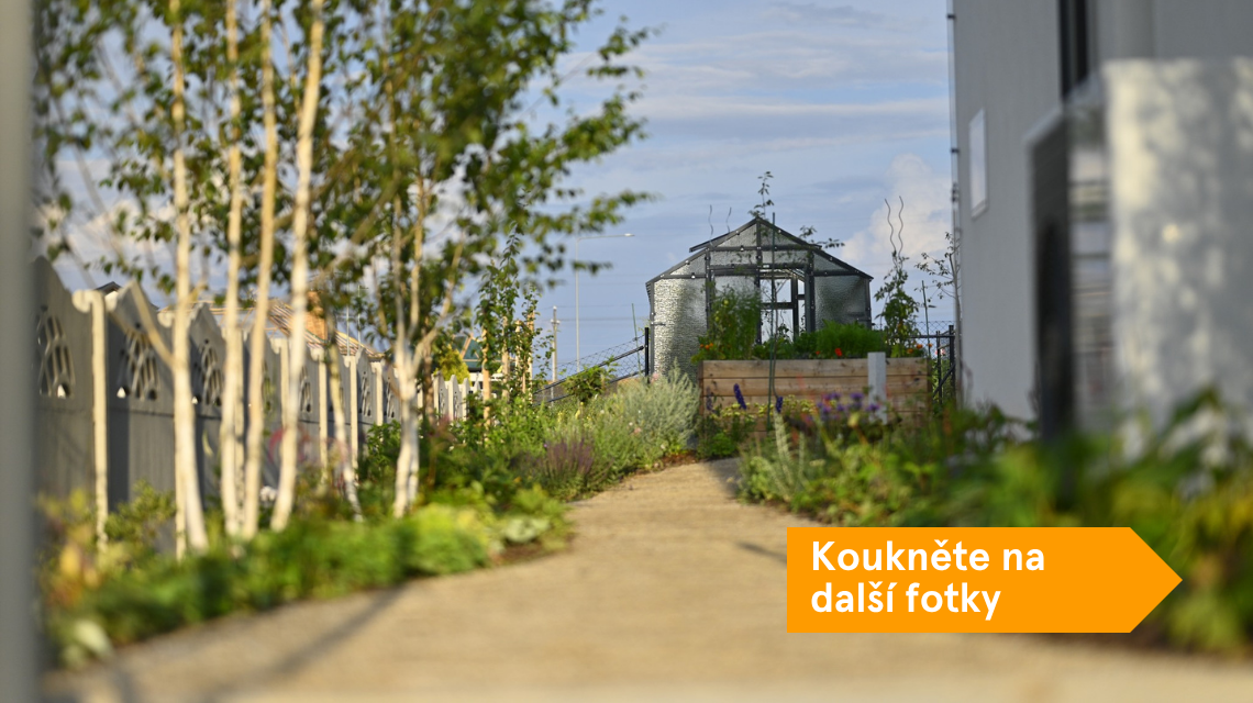 Kurzisti Radek cesta