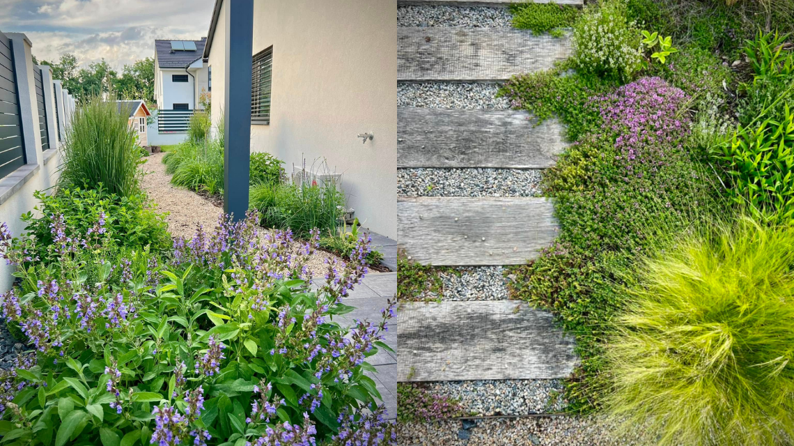 Kurzisti Renata cesta