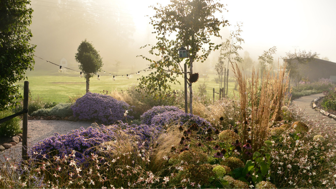 Kurzisti Zuzana cesta