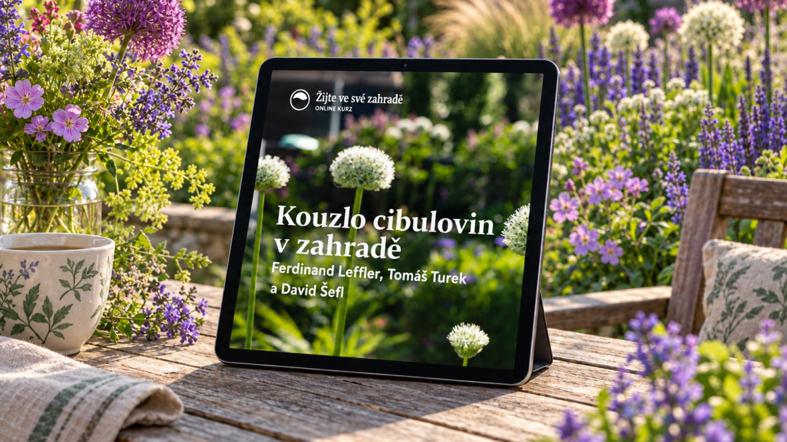 Cibuloviny ebook