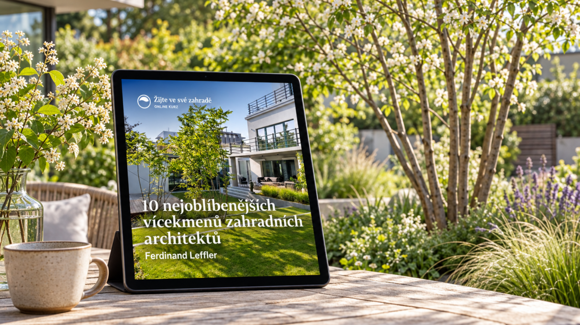 Vicekmeny ebook